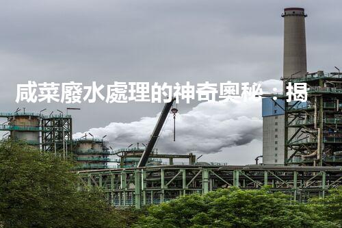 咸菜廢水處理的神奇奧秘：揭秘高效凈化新技術(shù)！